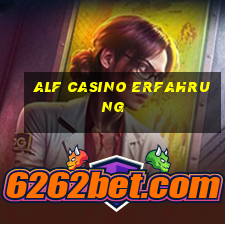 alf casino erfahrung