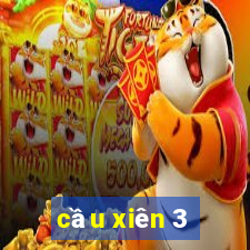 cầu xiên 3