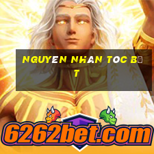 nguyên nhân tóc bết