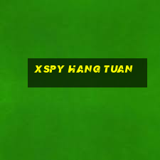 xspy hang tuan