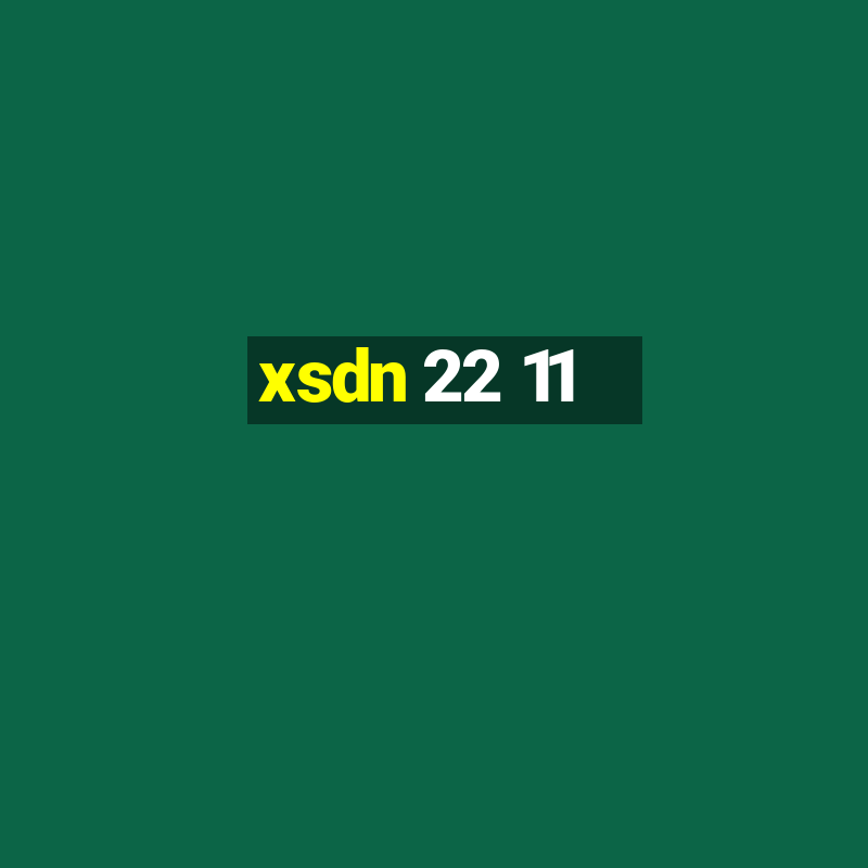 xsdn 22 11