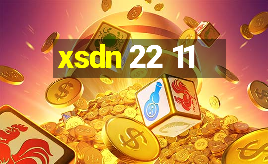 xsdn 22 11