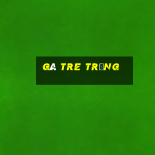 gà tre trắng