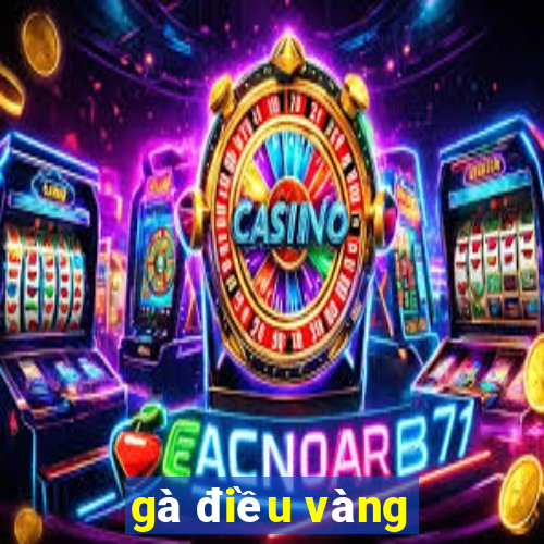 gà điều vàng