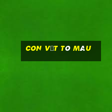 con vật tô màu