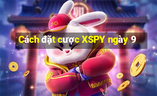 Cách đặt cược XSPY ngày 9