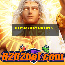 xoso congdong