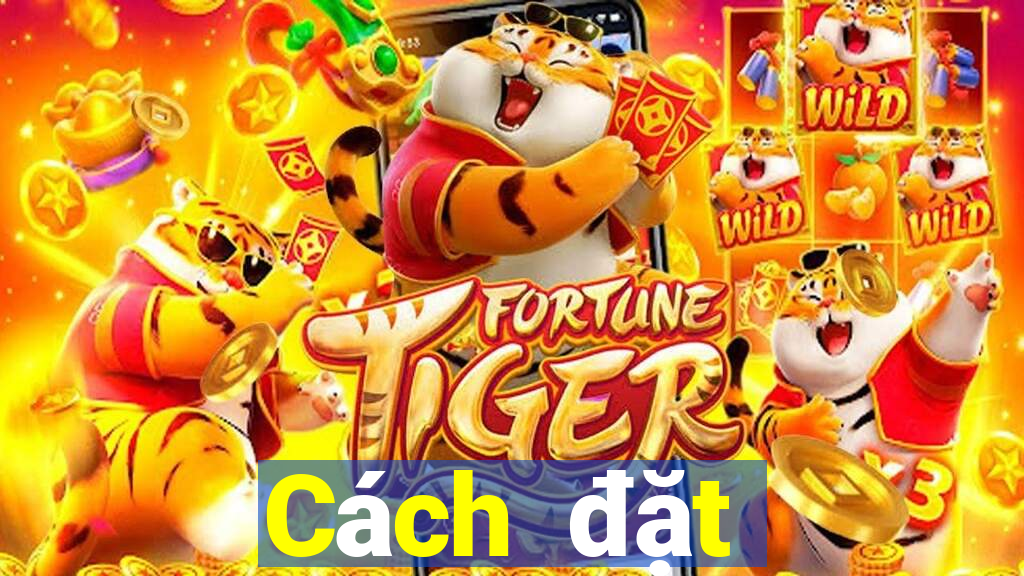 Cách đặt cược XSQN Thứ 2