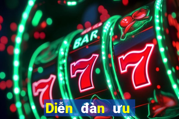 Diễn đàn ưu đãi bắp cải