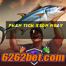 Phân tích XSDN ngày 1