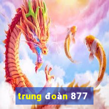 trung đoàn 877