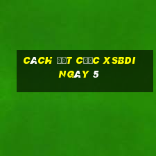 Cách đặt cược XSBDI ngày 5