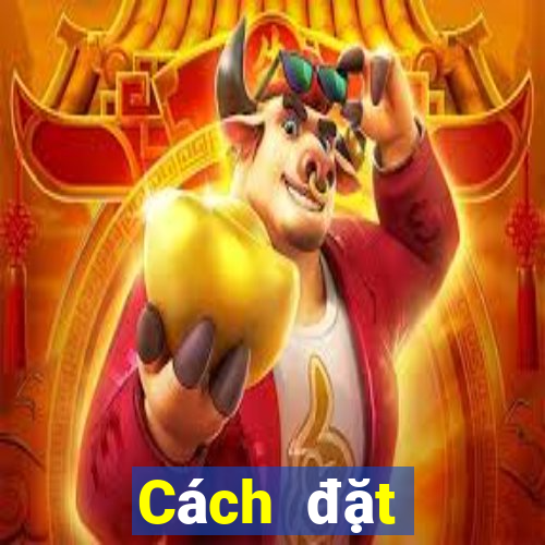 Cách đặt cược XSHP ngày 21