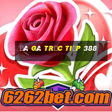 đá gà trực tiếp 388