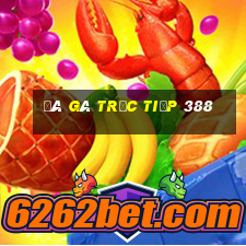 đá gà trực tiếp 388