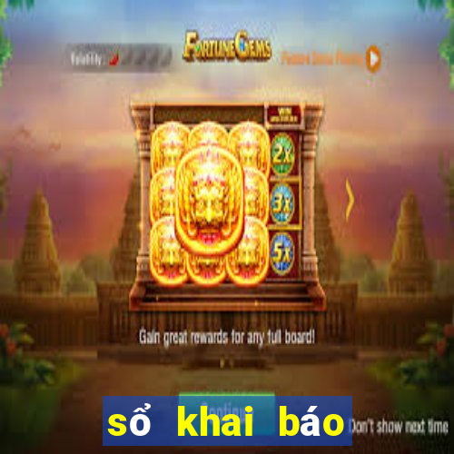 sổ khai báo điện tử