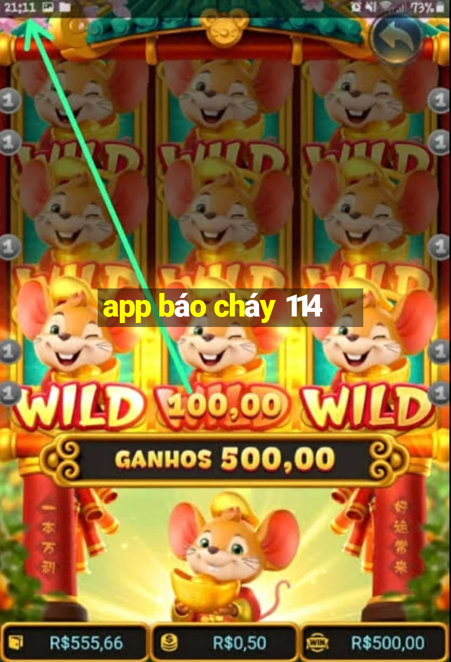 app báo cháy 114