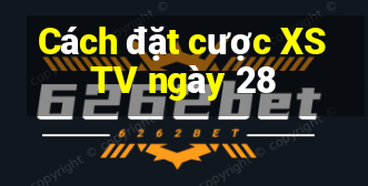 Cách đặt cược XSTV ngày 28