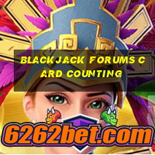 blackjack forums card counting