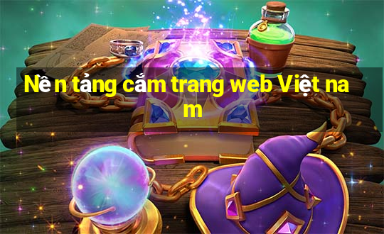 Nền tảng cắm trang web Việt nam