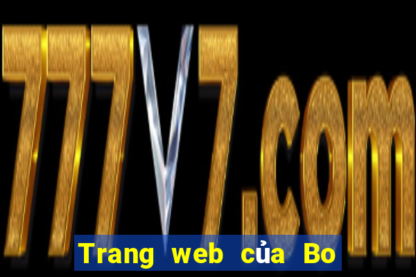 Trang web của Bo e 100