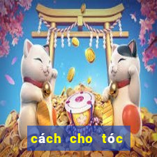 cách cho tóc đỡ bết