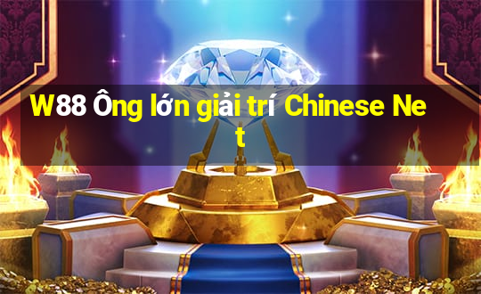 W88 Ông lớn giải trí Chinese Net