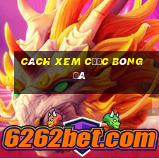 cách xem cược bóng đá