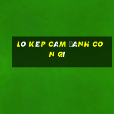 lô kép câm đánh con gì