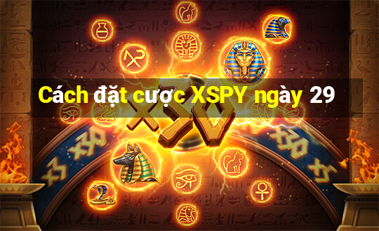 Cách đặt cược XSPY ngày 29