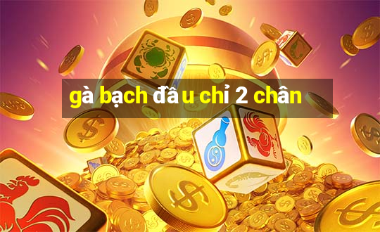 gà bạch đầu chỉ 2 chân