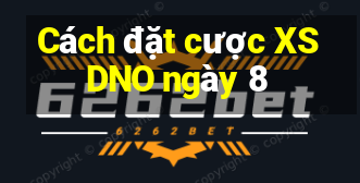 Cách đặt cược XSDNO ngày 8