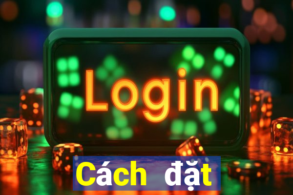 Cách đặt cược XSDNO ngày 8