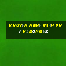 Khuyến nghị miễn phí về bóng đá