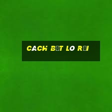 cách bắt lô rơi