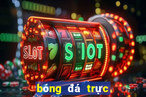 bóng đá trực tiếp c1