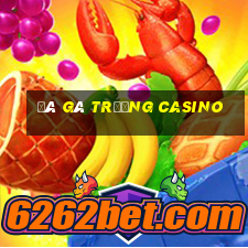 đá gà trường casino