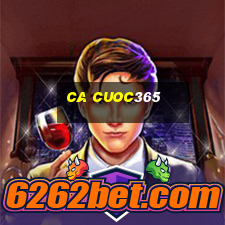 ca cuoc365