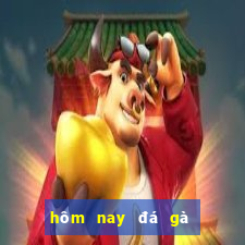 hôm nay đá gà màu gì