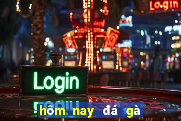 hôm nay đá gà màu gì