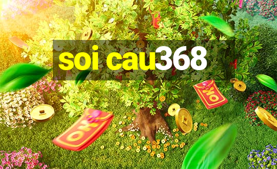 soi cau368