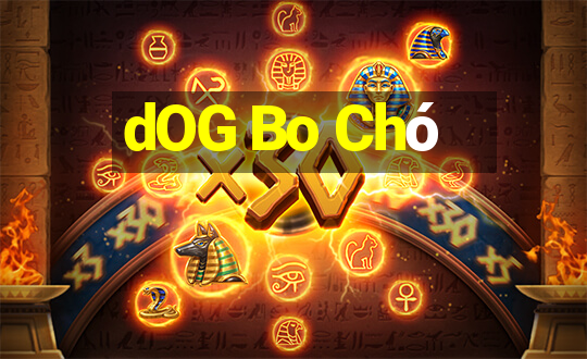 dOG Bo Chó