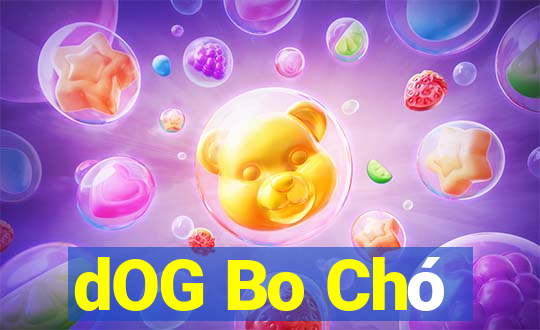 dOG Bo Chó