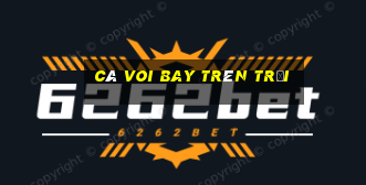 cá voi bay trên trời