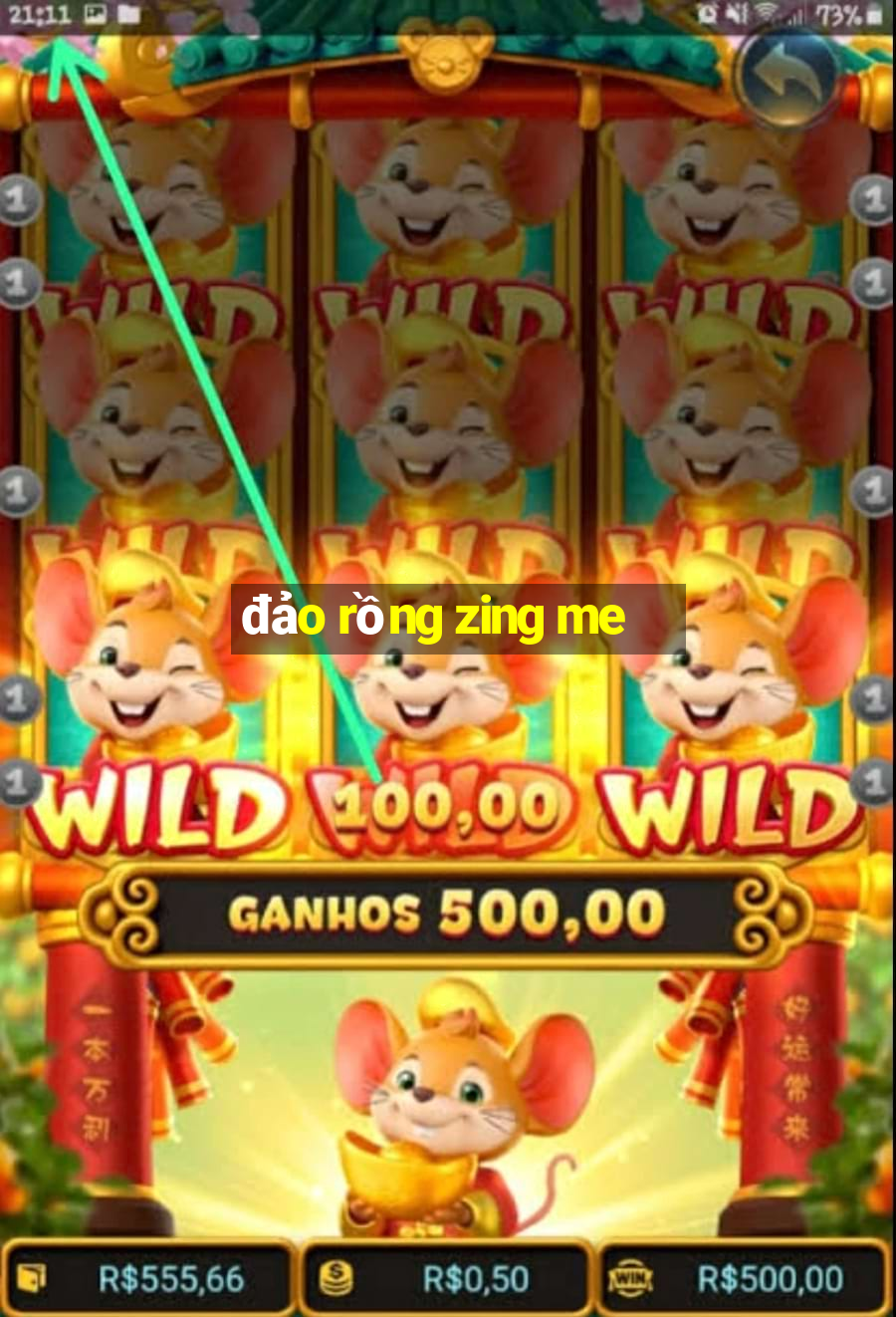 đảo rồng zing me