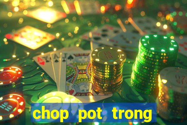 chop pot trong poker là gì