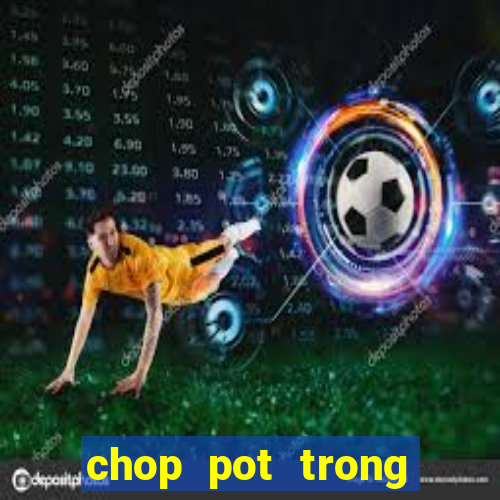 chop pot trong poker là gì