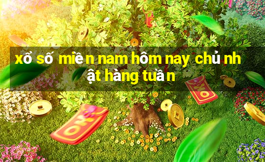 xổ số miền nam hôm nay chủ nhật hàng tuần