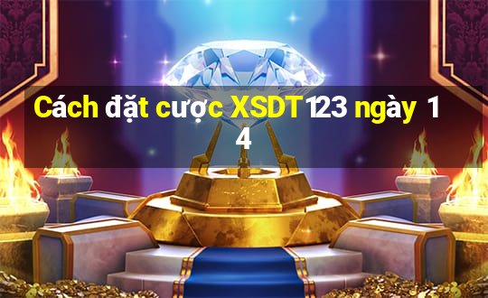 Cách đặt cược XSDT123 ngày 14