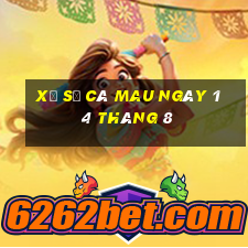 xổ số cà mau ngày 14 tháng 8